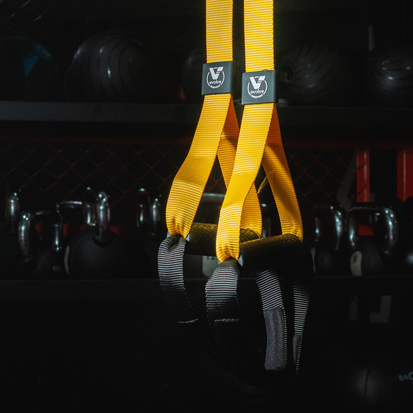 BANDAS DE SUSPENSION (TIPO TRX)- EVOLVE