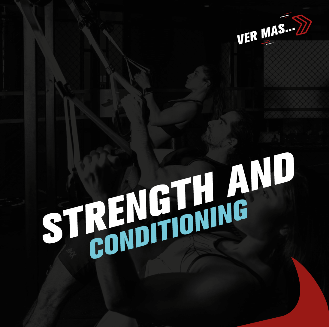 Bullfit Equipment